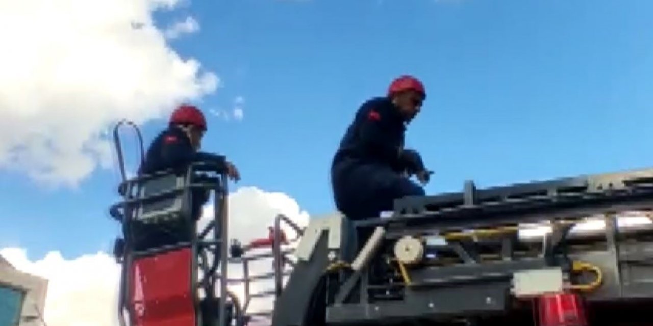 Ağır hasarlı binaya giren kediyi itfaiye ekipleri kurtardı