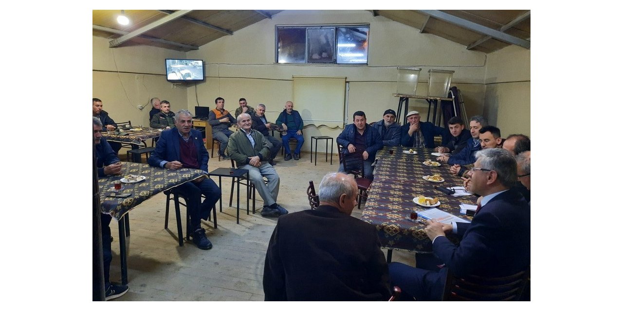 Ormanların korunması için bir araya geldiler