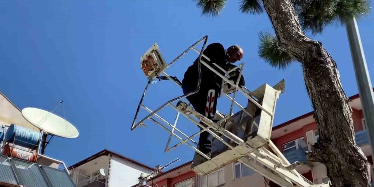 Ağaçta mahsur kalan kediyi itfaiye kurtardı