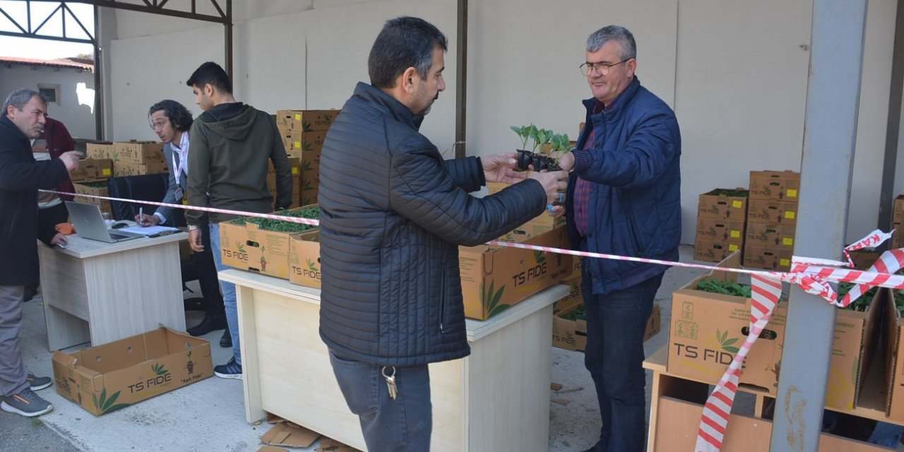 Sinop’ta 80 bin sebze fidesi dağıtıldı