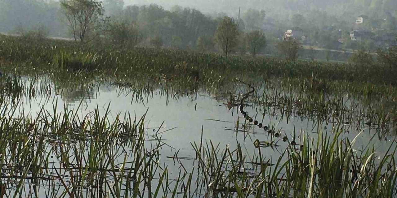 Efteni Gölü’nde kaçak avlanmaya geçit yok