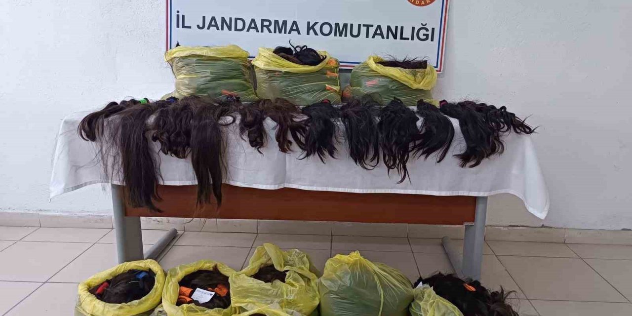 Ağrı’da 397 adet insan saçı ele geçirildi