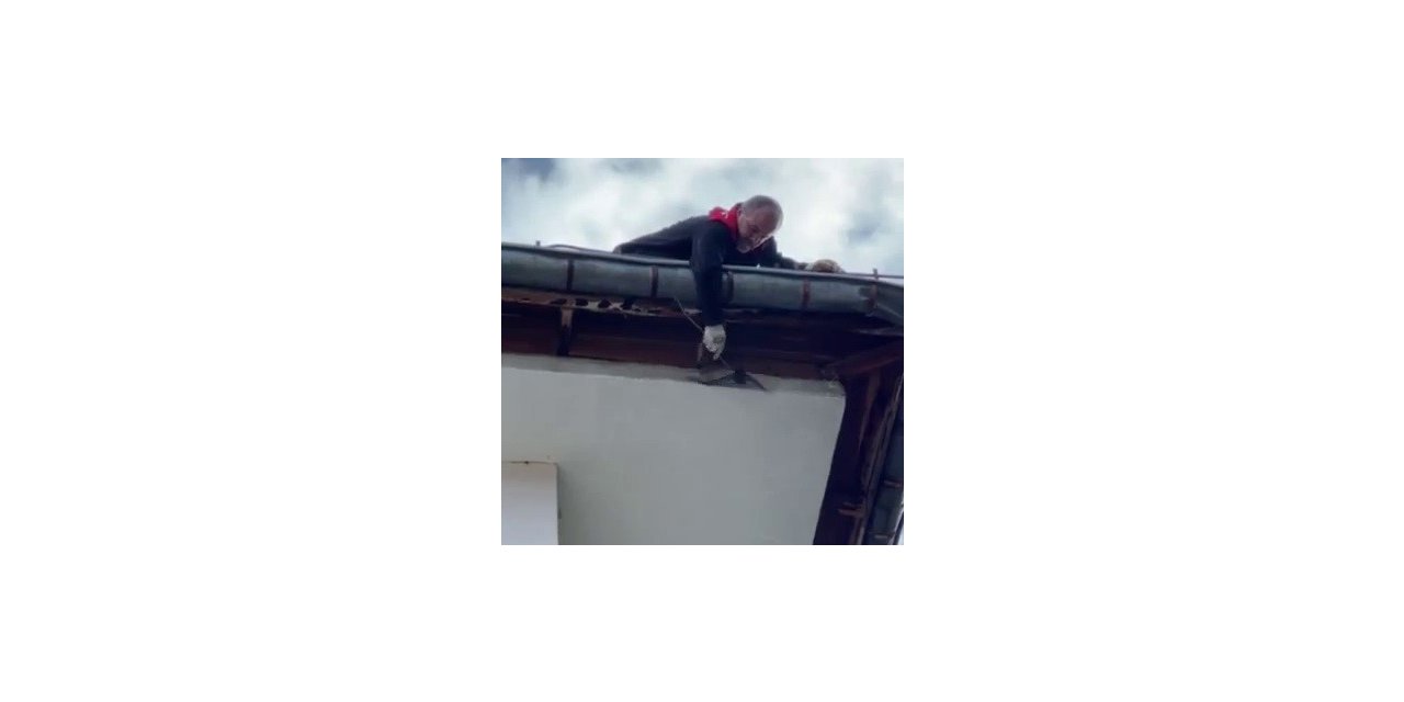 Boğazına ip dolanan ebabil kuşunun yardımına itfaiye koştu