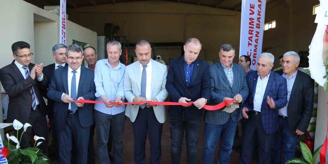 Yenişehir’de ayçiçek işleme tesisi hizmete açıldı