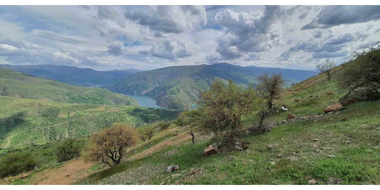 Elazığ’da makinalı toprak işleme çalışmaları başladı