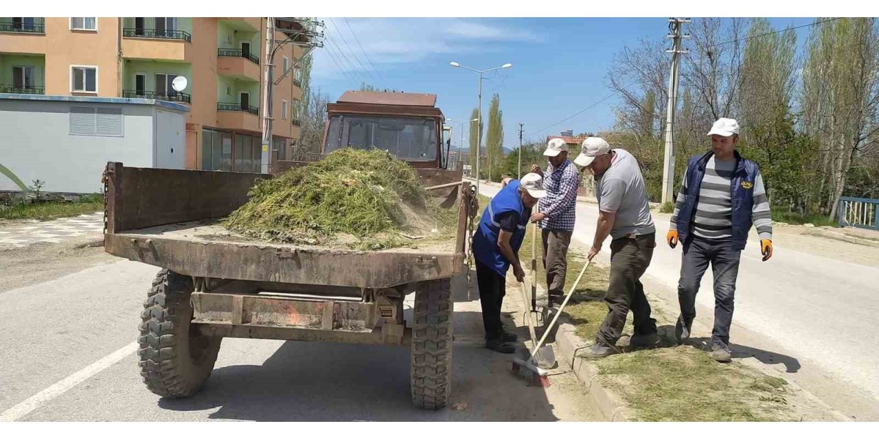 Hisarcık’ta yabani ot temizliği