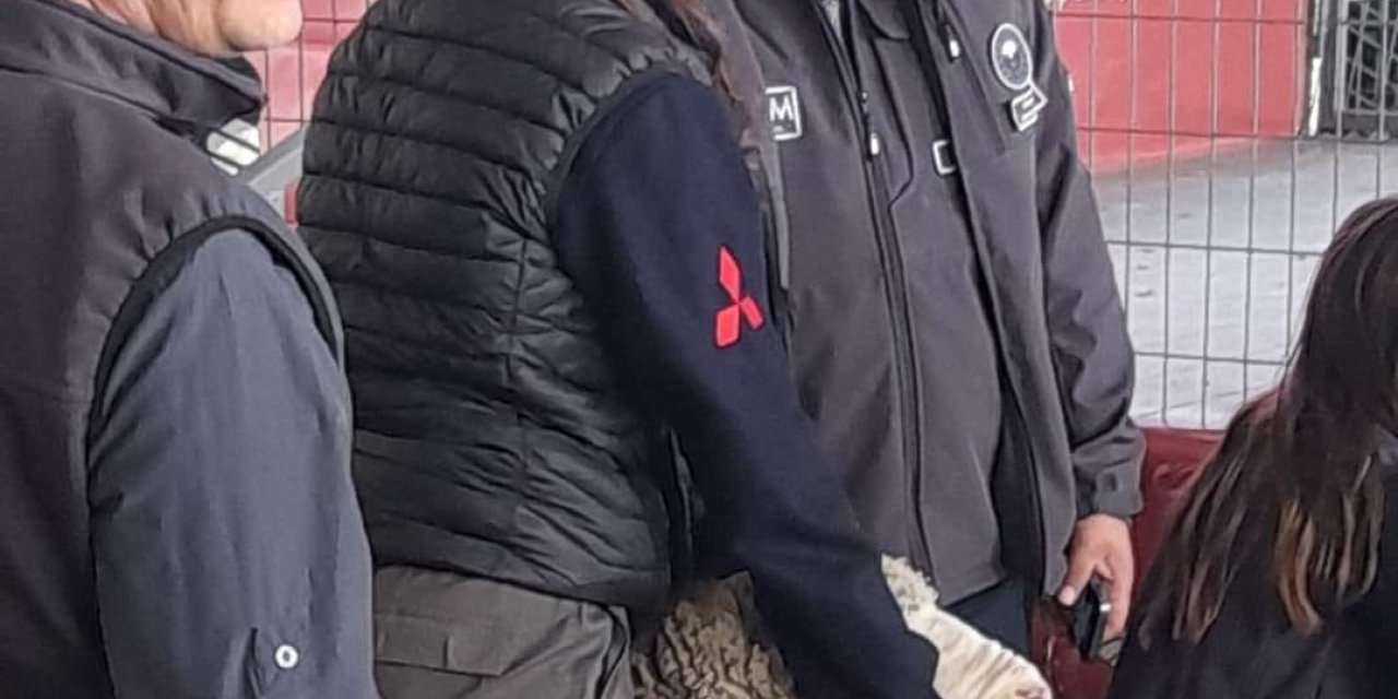 Karacabey Merinos ırkı koç rekor fiyata satıldı