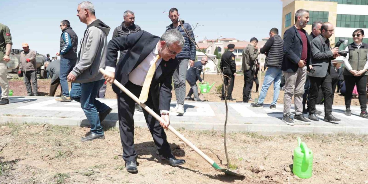 Fidanlar, bal ormanına dönüşecek