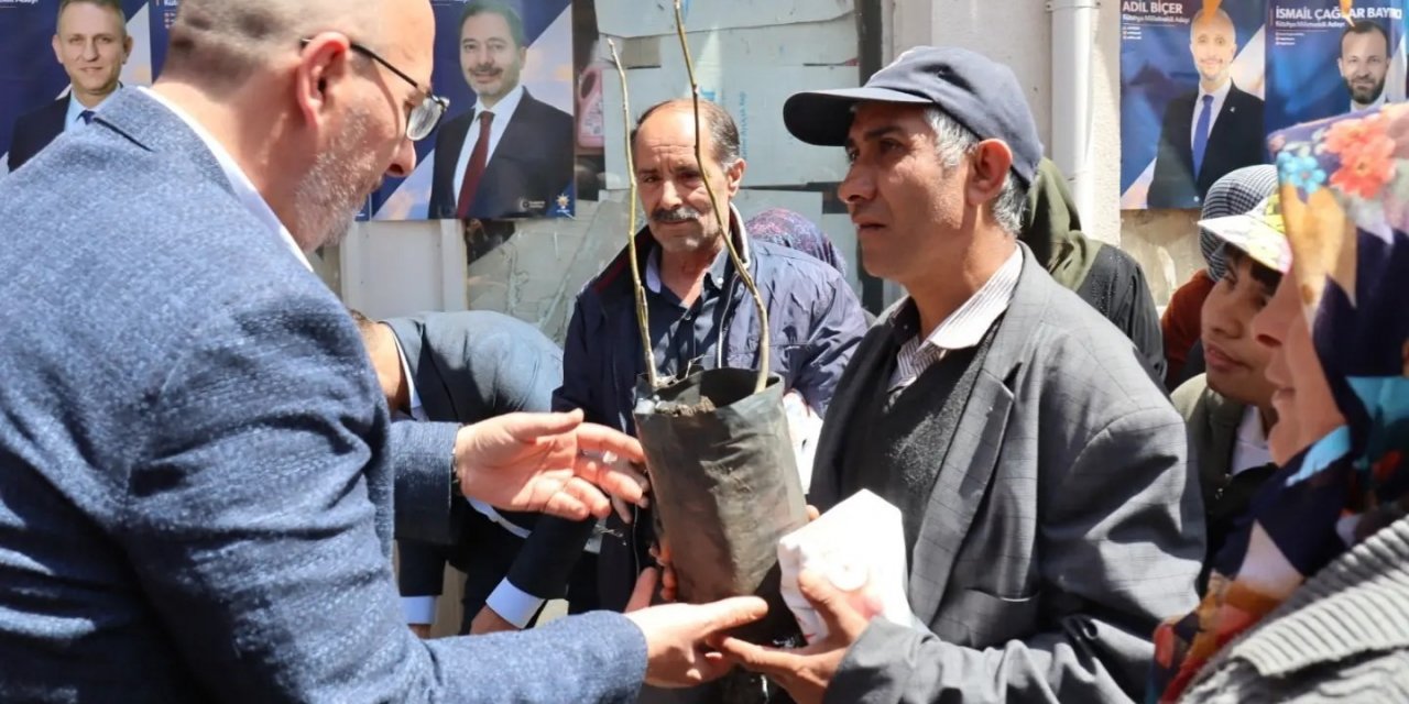 Çavdarhisar’da 400 adet ücretsiz ceviz ve badem fidanı dağıtıldı