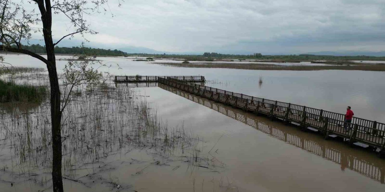 Yağış ve eriyen karlar gölün su seviyesini yükseltti