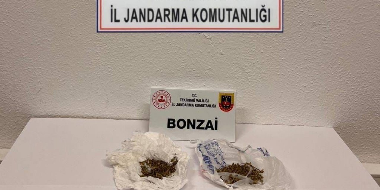 Jandarmadan uyuşturucu operasyonu: Bonzai ele geçirildi