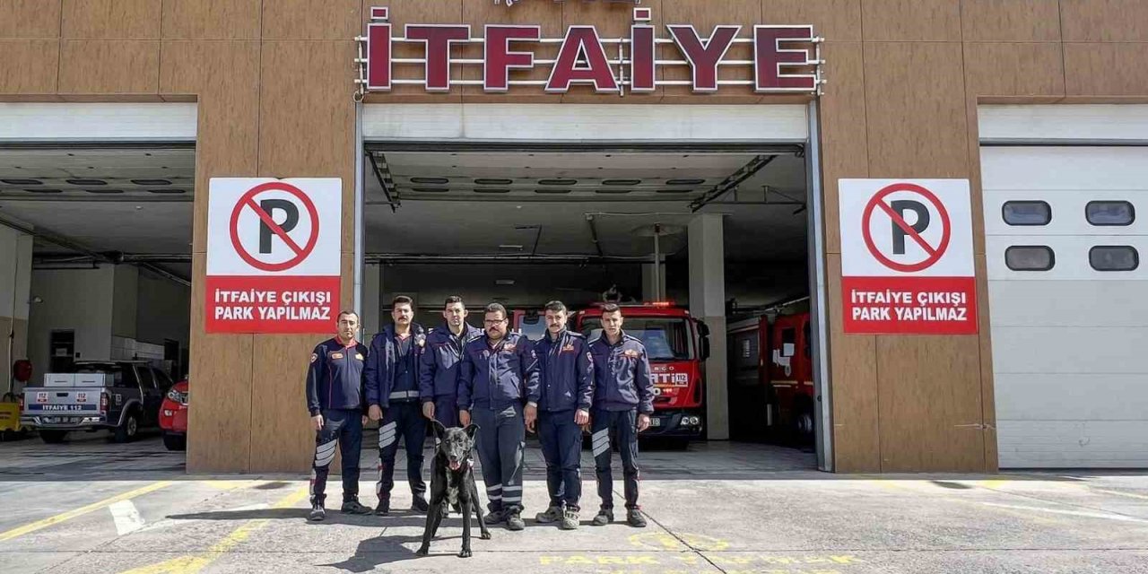 Kayalıklarda mahsur kalan köpeğin yardımına itfaiye ekipleri yetişti