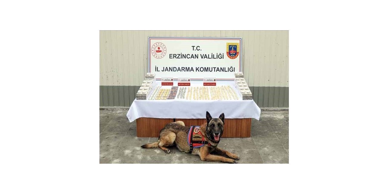 Erzincan’da jandarma ekiplerince 11 faili meçhul olayın 10’u aydınlatıldı