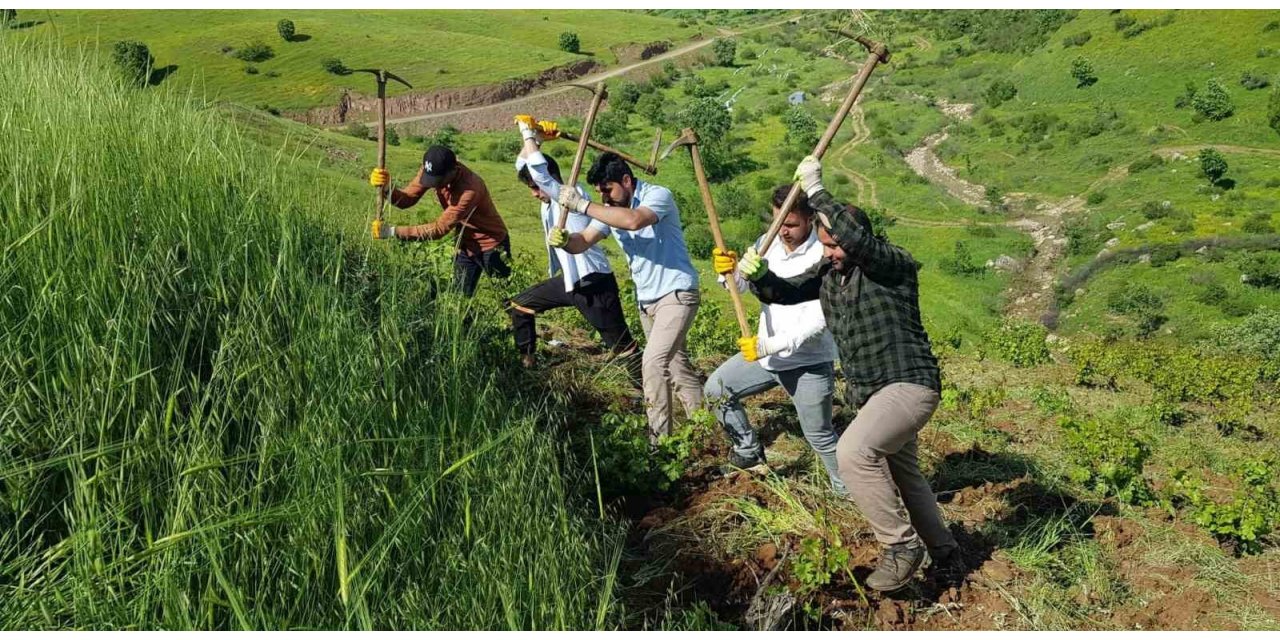 Derecik’te çiftçiler imece usulü ile birbirlerine yardım ediyor