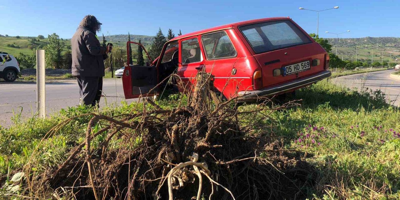 Kontrolden çıkan otomobil çarptığı ağacı kökünden söktü