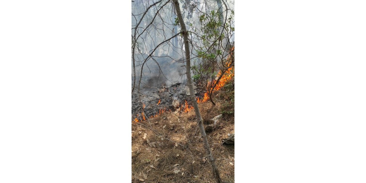 Ormanlık alanda çıkan yangın büyümeden kontrol altına alındı