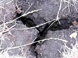 Meteoroloji Uzmanları: 100 Yılın En Kurak Dönemi Kapıda