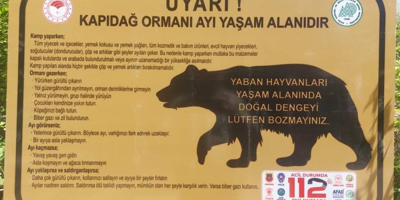 Ayı uyarısı levhalara taşındı