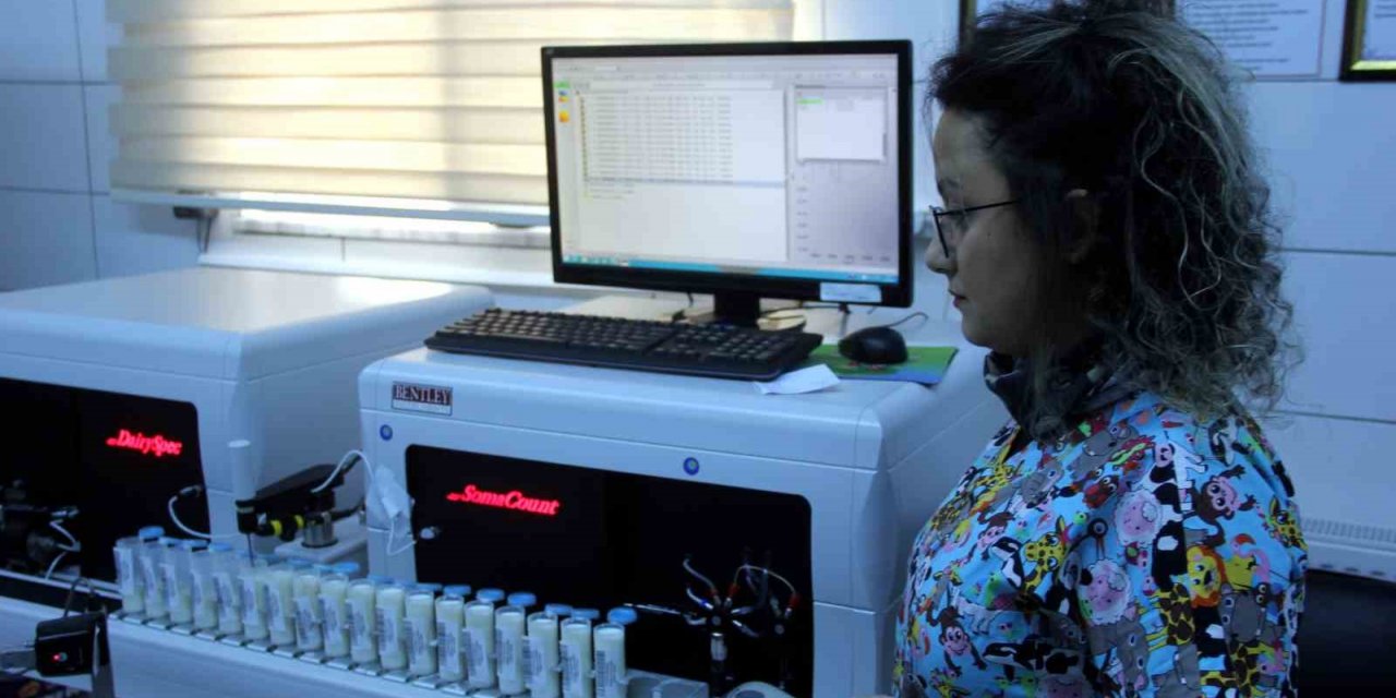 Farklı illerden gelen süt numuneleri Erzincan’da analiz ediliyor