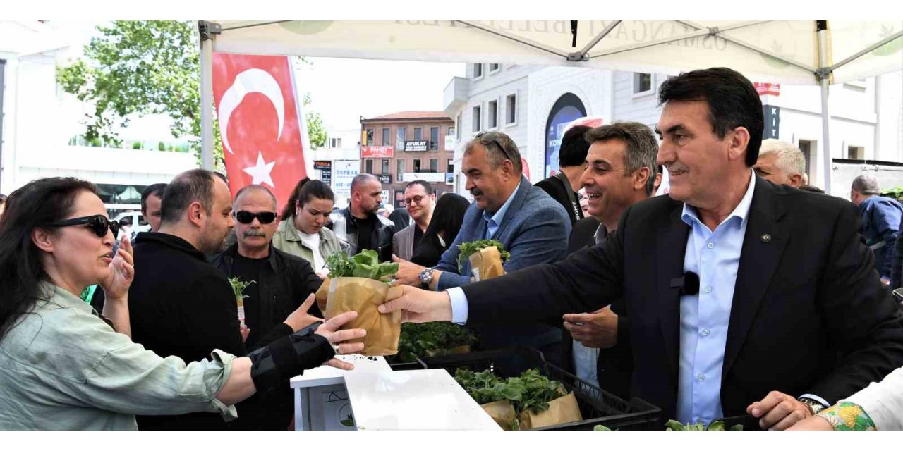 Osmangazi Belediyesi 1 milyon sebze fidesi dağıttı