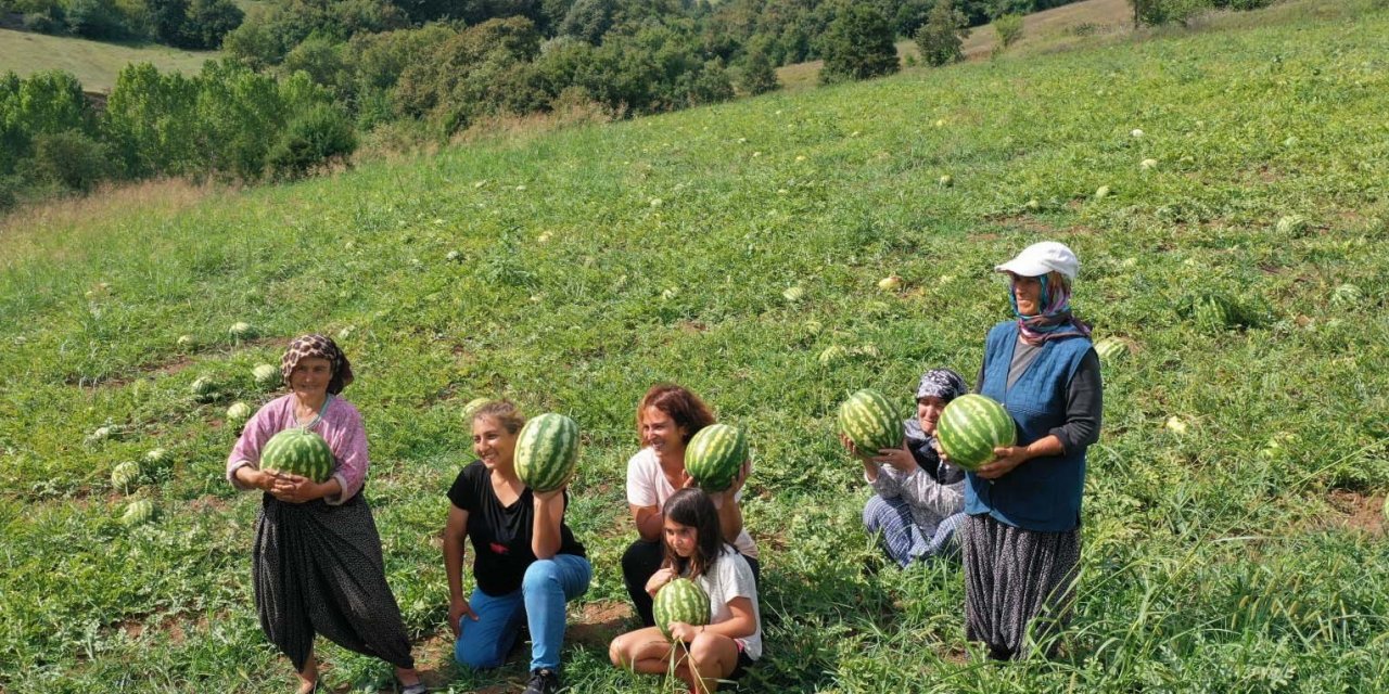 Üreticilere çilek bahçesi tesisi ve karpuz tohumu desteği