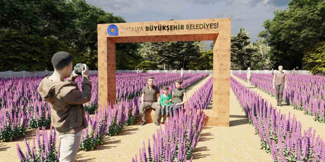 Tıbbi aromatik bitkiler işlenip değerlendirilecek