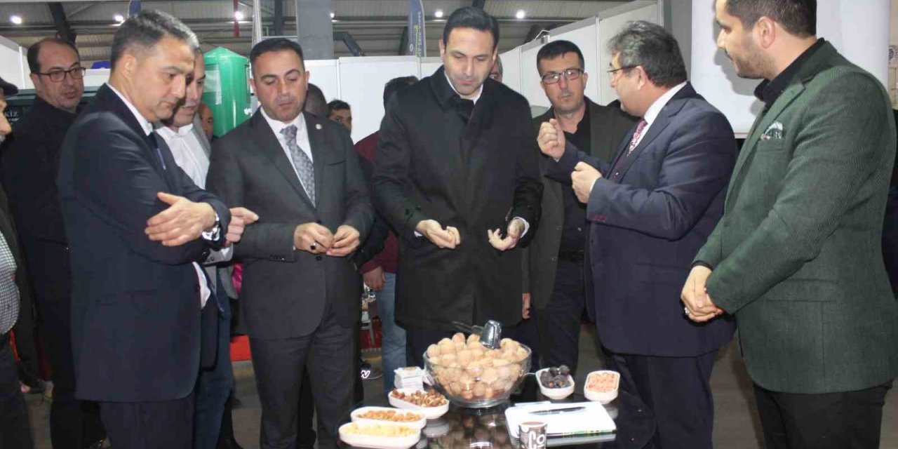 Biga’da Ceviz ve Badem Festivali başladı