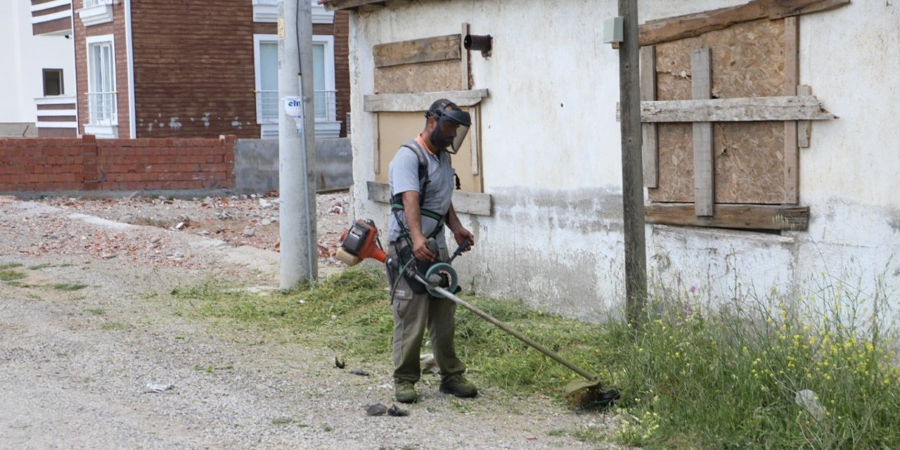 Burhaniye’de tırpan ve temizlik çalışmaları sürüyor