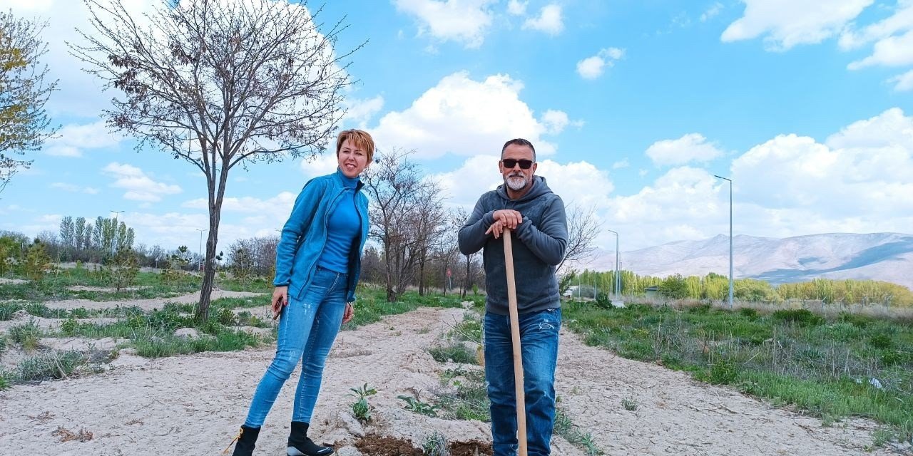 Sahipsiz hayvanlar için fidan diktiler