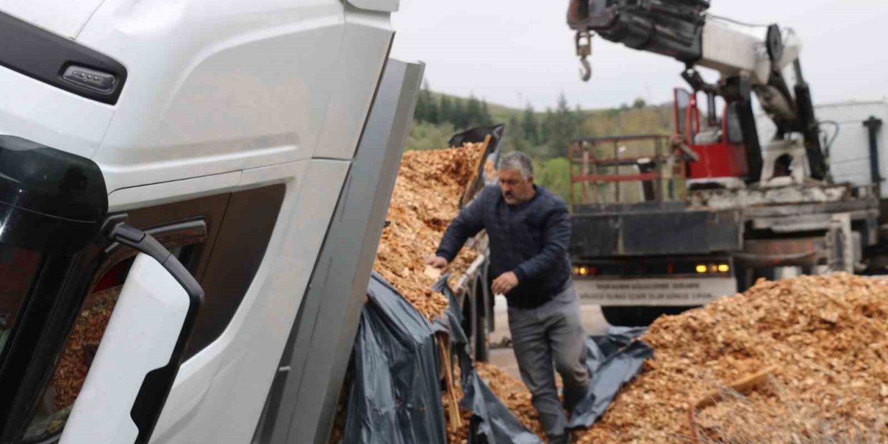Odun talaşı yüklü tır devrildi, Afyonkarahisar-Kütahya karayolu 2 saat ulaşıma kapandı