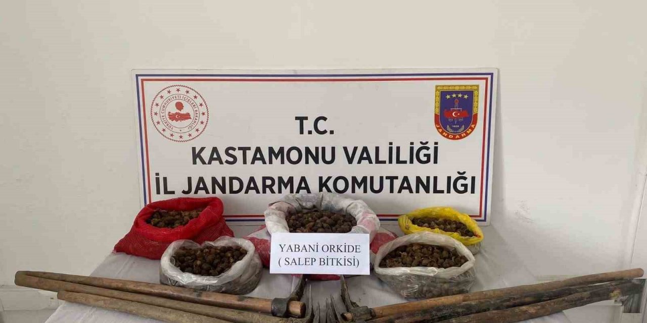 Kastamonu’da 22,5 kilogram sahleple yakalanan 3 kişiye ceza