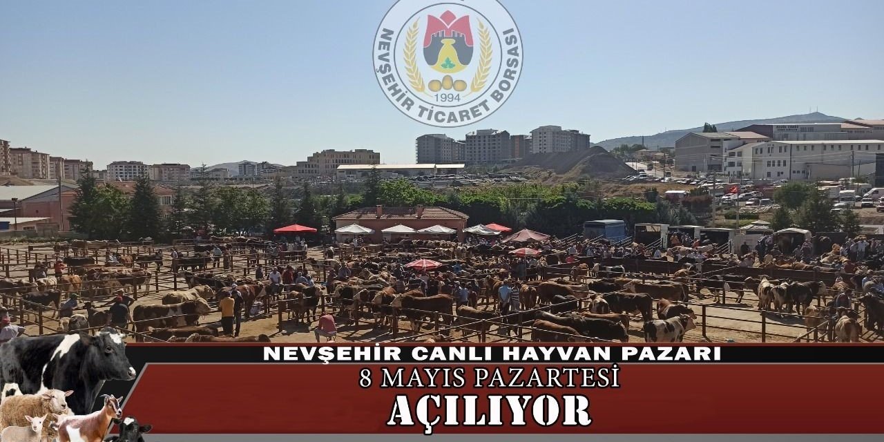 Nevşehir Canlı Hayvan Pazarı yeniden açılıyor