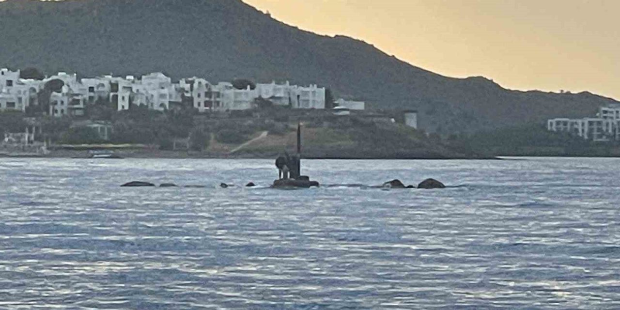 Kayalıklarda mahsur kaldılar