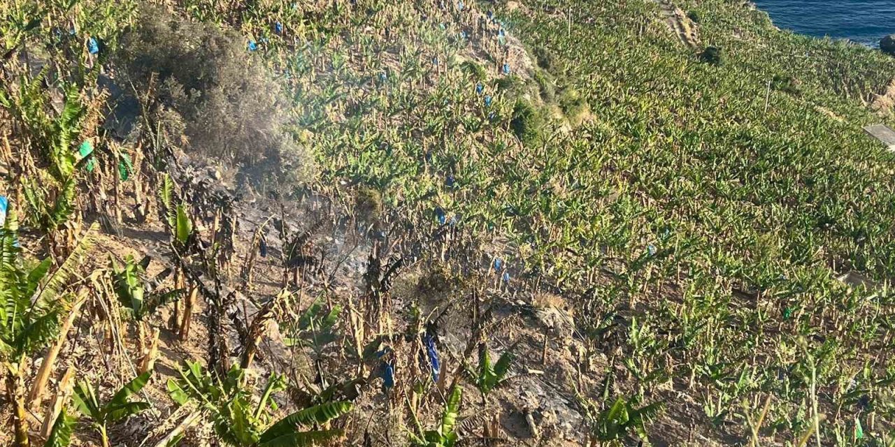 Antalya’da ormanlık alanda ve muz bahçesinde çıkan yangında 8 dönüm alan zarar gördü