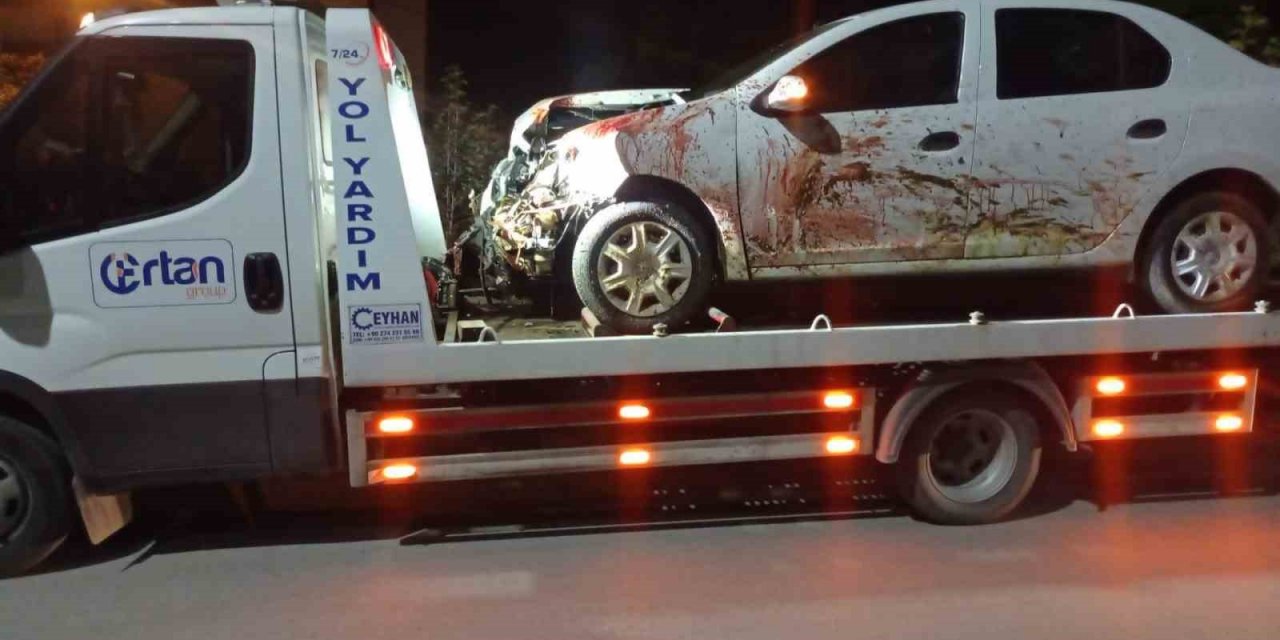 Elazığ’da otomobil koyun sürüsüne daldı: 2 yaralı