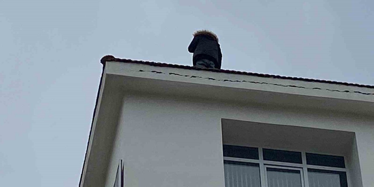 Çatıya çıkıp ekiplere zor anlar yaşattı, iki saat sonunda ikna edilebildi