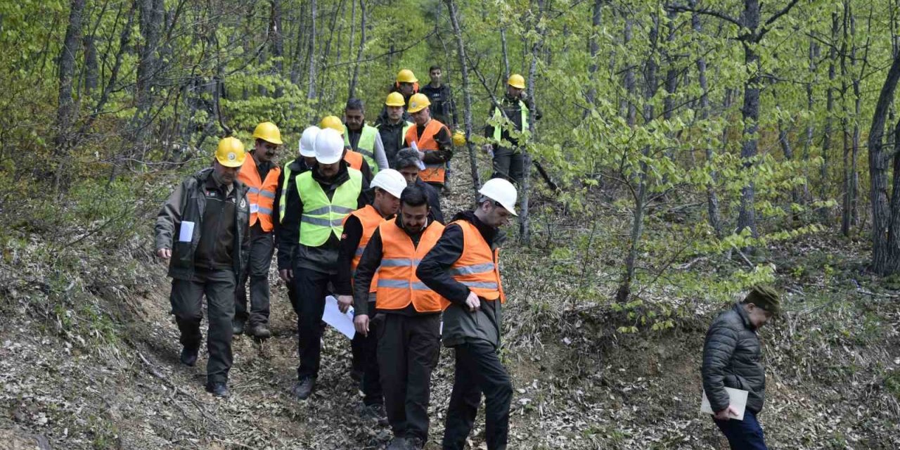 Orman değerlerini artırmak yerinde sürekli eğitimle sağlanıyor