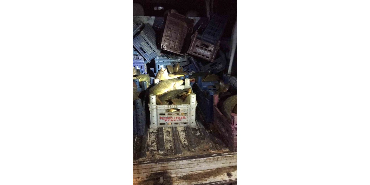 Elazığ’da kaçak avcıya 16 bin lira para cezası uygulandı