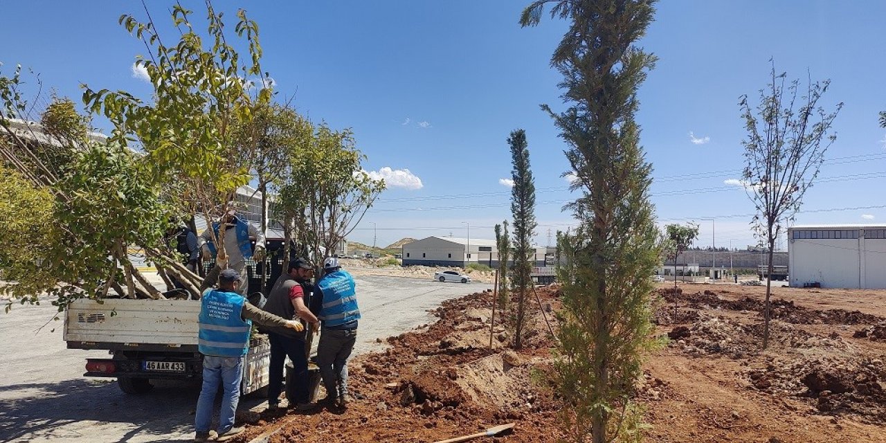 Eyyübiye’nin her karışı yeşillendiriliyor