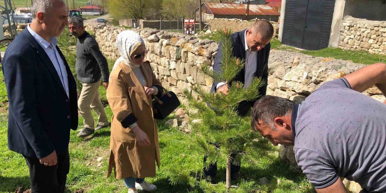 Küpeli köyünde fidanlar toprakla buluştu