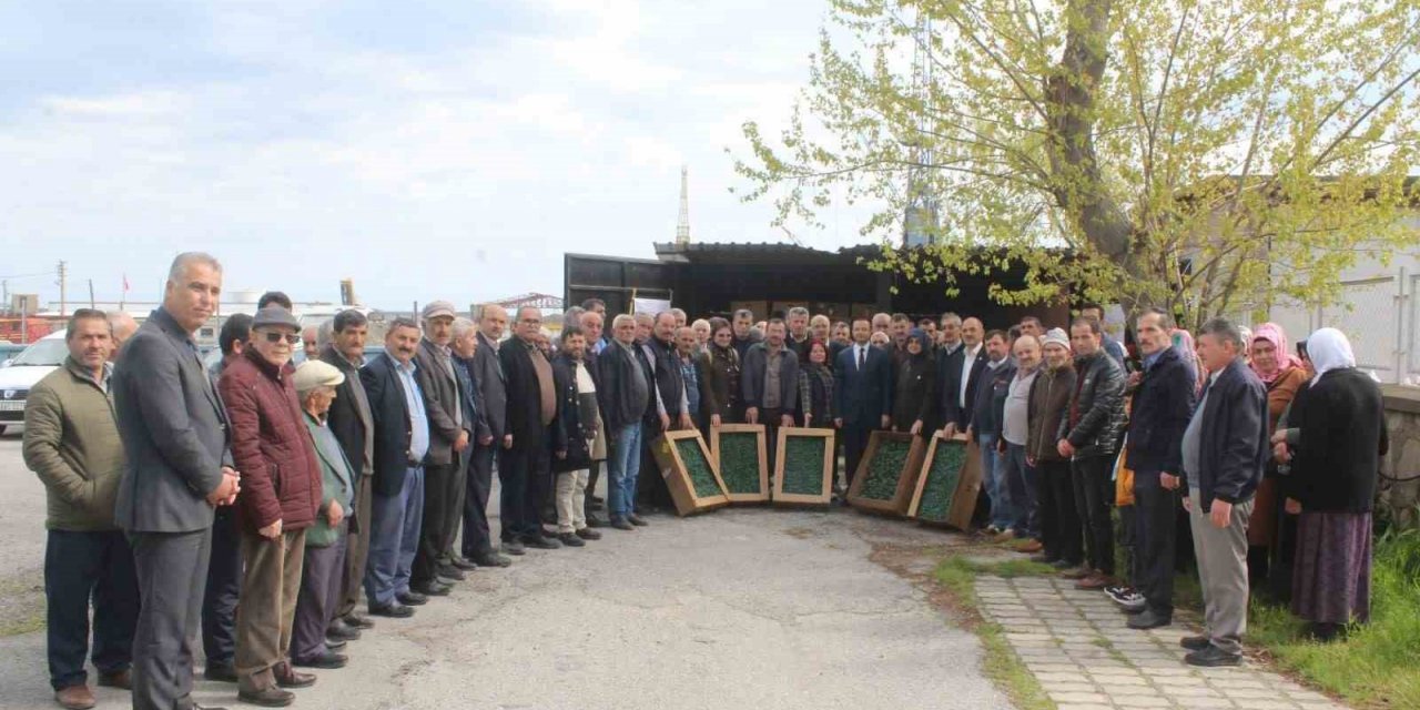 Çiftçilere 20 bin adet biber, 42 bin domates fidesi dağıtıldı