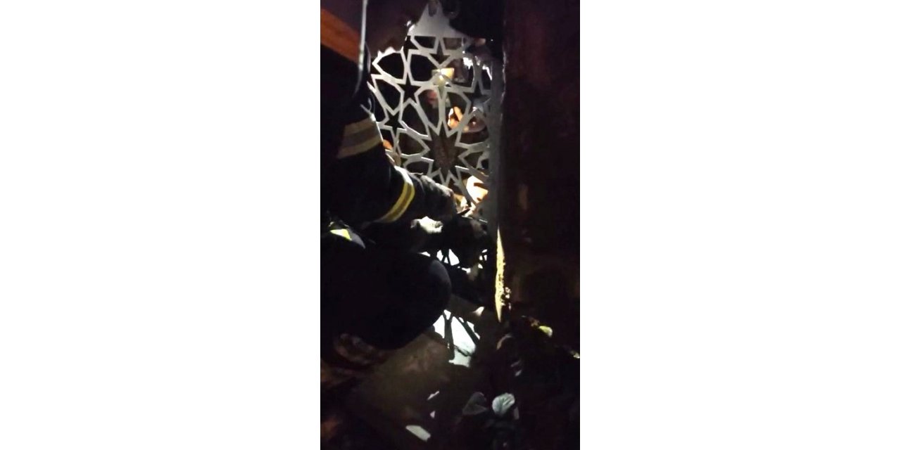 Bahçe kapısına sıkışan yavru köpek işte böyle kurtarıldı