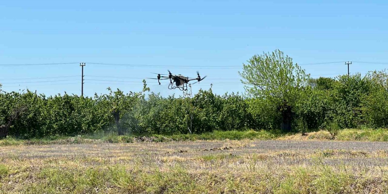 Çeltikler Düzce’de dron ile dikilecek