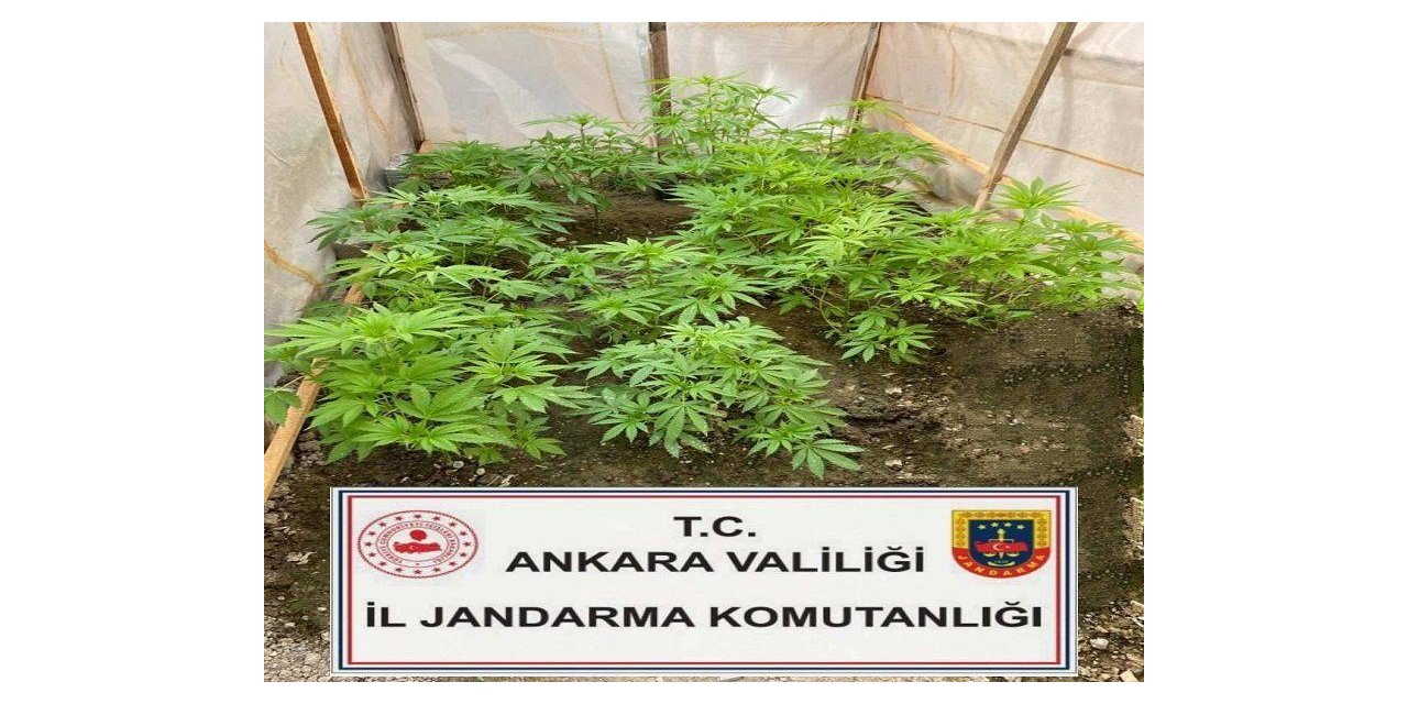 Başkentte uyuşturucuyla mücadele çalışmaları hız kesmeden devam ediyor