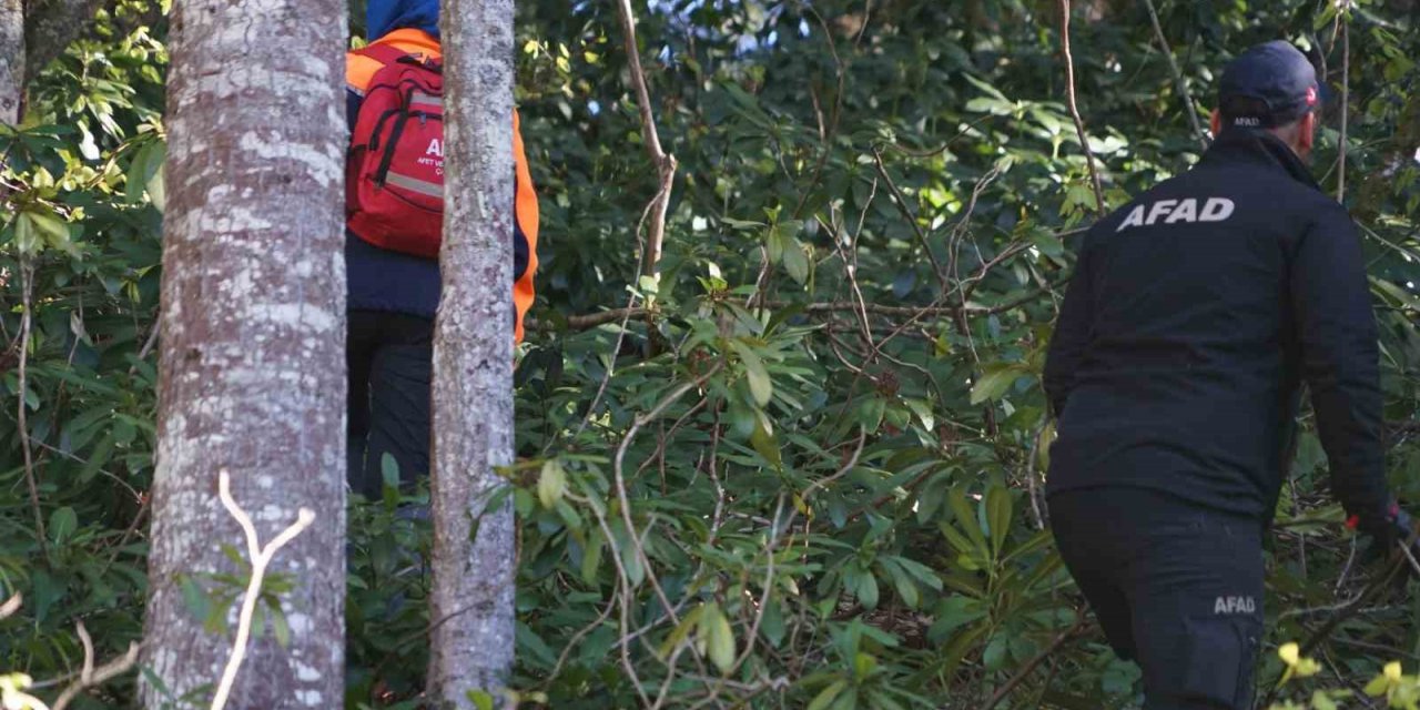 Milli parkta kaybolan vatandaşı arama çalışmaları 9’uncu gününde sürüyor