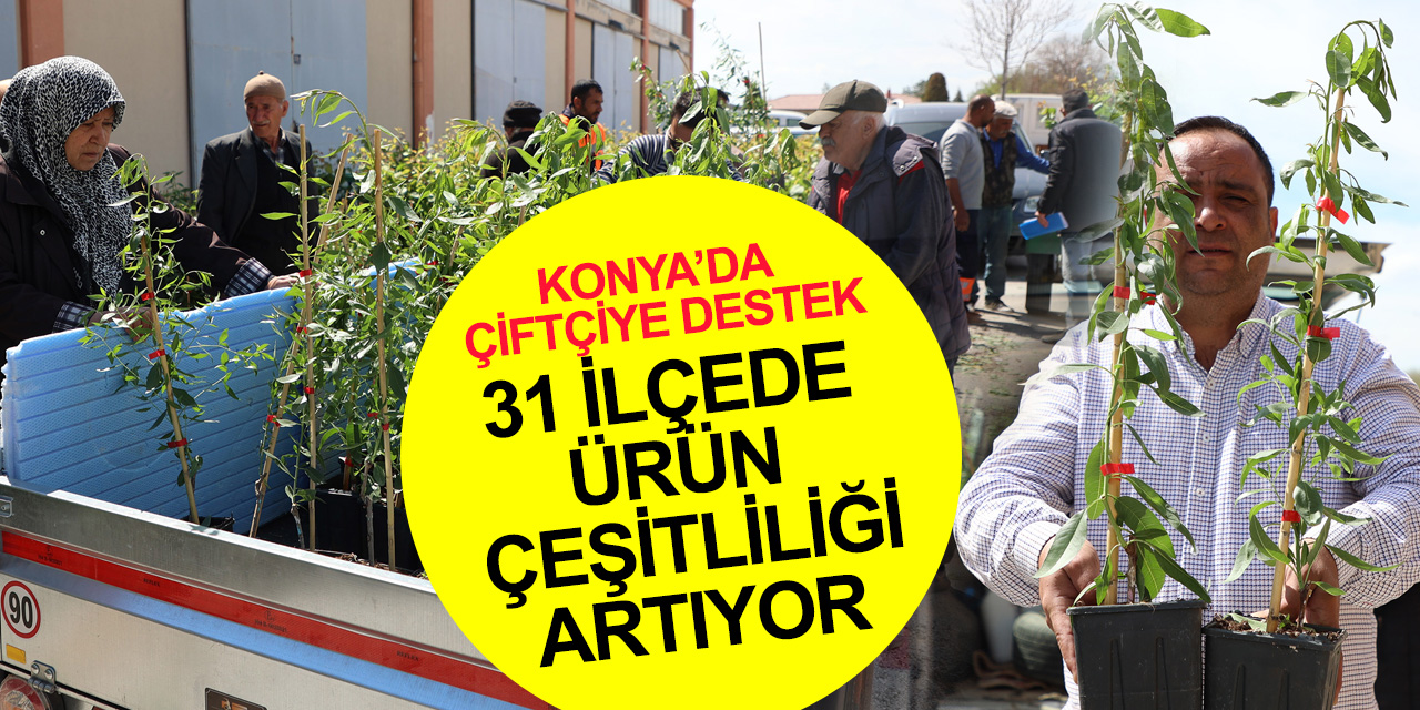 Konya Büyükşehir'den 31 ilçede ürün çeşitliliğini artırmak için çiftçiye destek! Binlerce fidan dağıtıldı