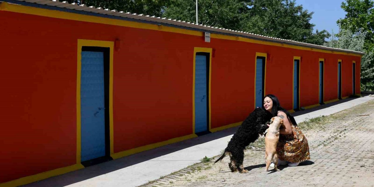 Kuşadası’ndaki Evcil Hayvan Rehabilitasyon Merkezi yenilendi