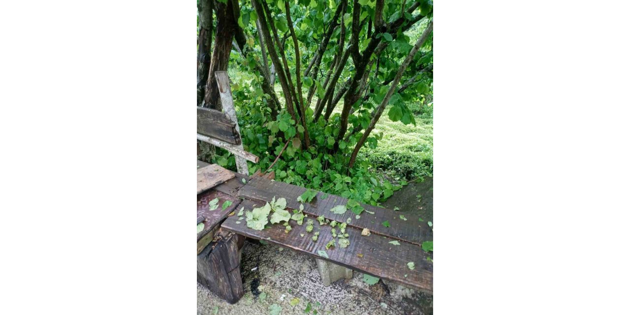 Fındık büyüklüğünde yağan dolu fındığa zarar verdi