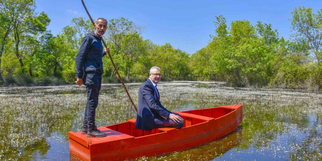 Karacabey Longozu’nda renklerin festivali başladı