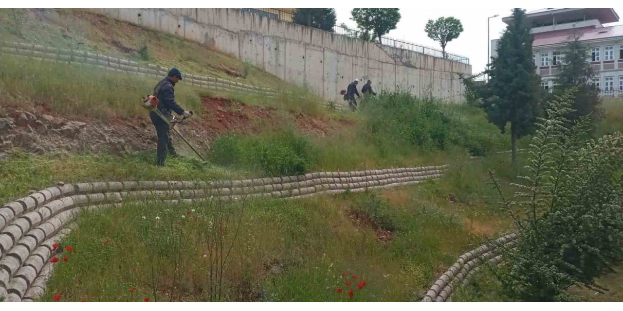 Dulkadiroğlu’nda çevre temizliği